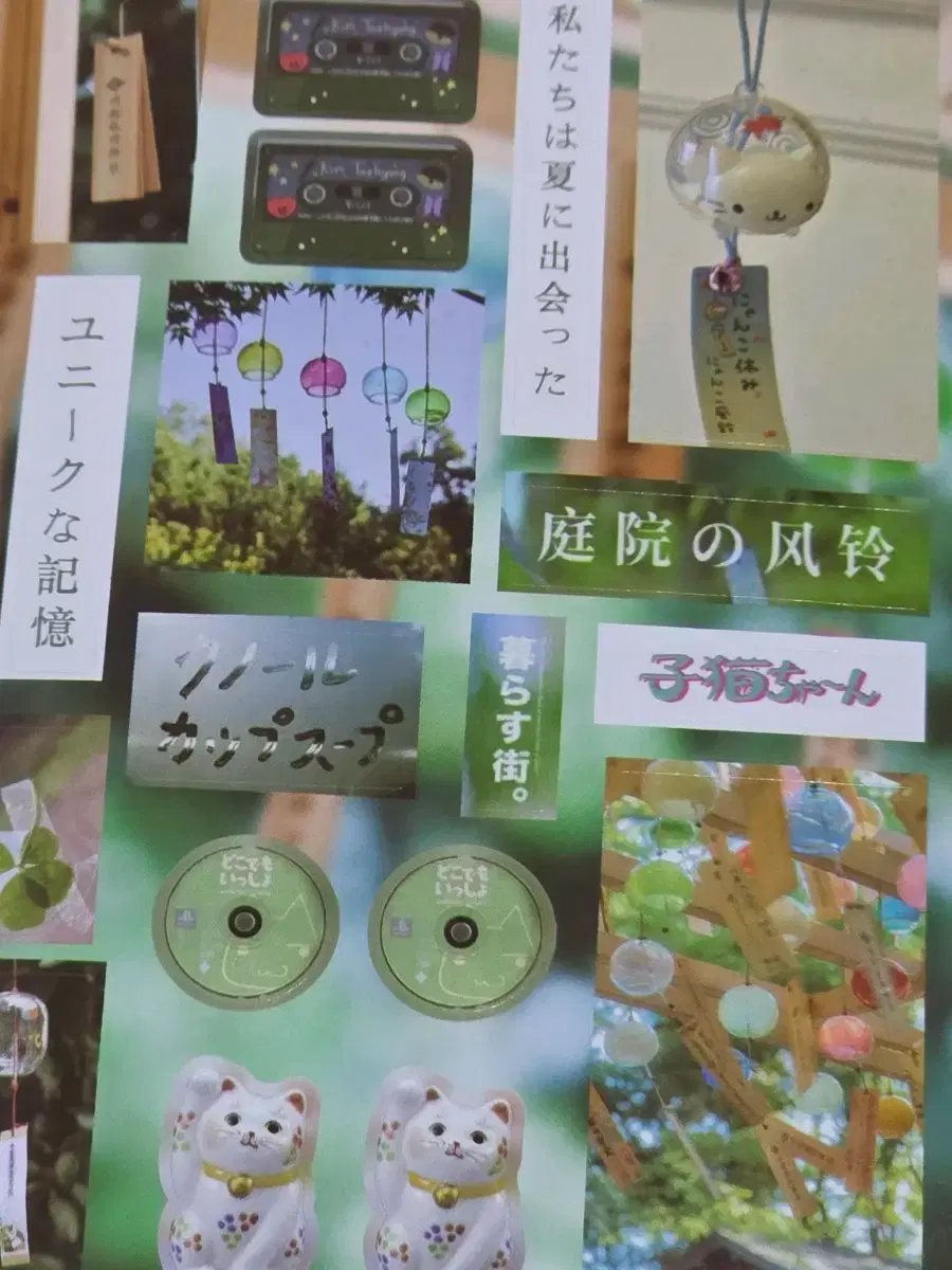 thumbnail-6